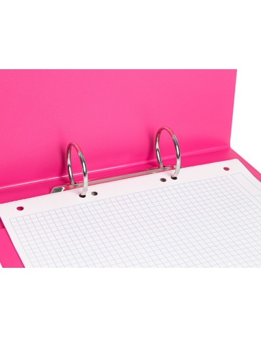 CARPETA 4º 4 ANILLAS 25 MM REDONDAS LIDER  CARTON FORR PVC FUC