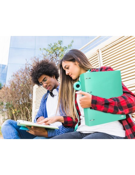 CARPETA LIDERPAPEL 4AN.MIXTAS 40MM PP.A4 VE. MANZANA OPACO