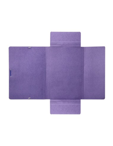 CARPETA GOMAS LIDERPAPEL FL CARTON COMPACTO 3 SOLAPAS AZ.