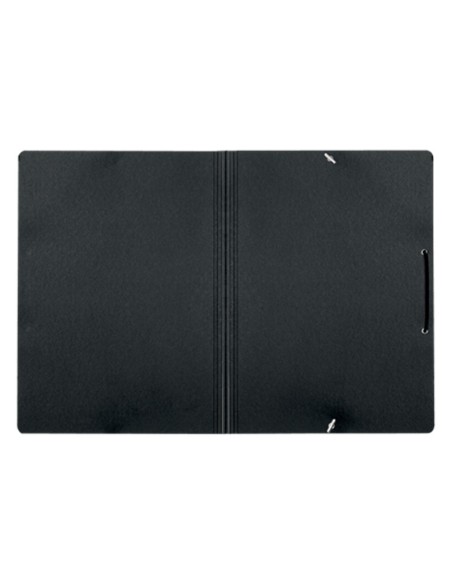 CARPETA LEITZ RECYCLE GOMAS A4 CARTON RECICLABE 100% NG.