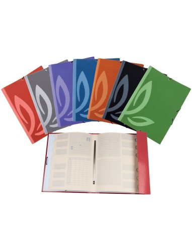 CARPETA CLASIFICADORA 12 DEP. LIDERPAPEL FL FORRADO COL.SURT. C/GOMAS