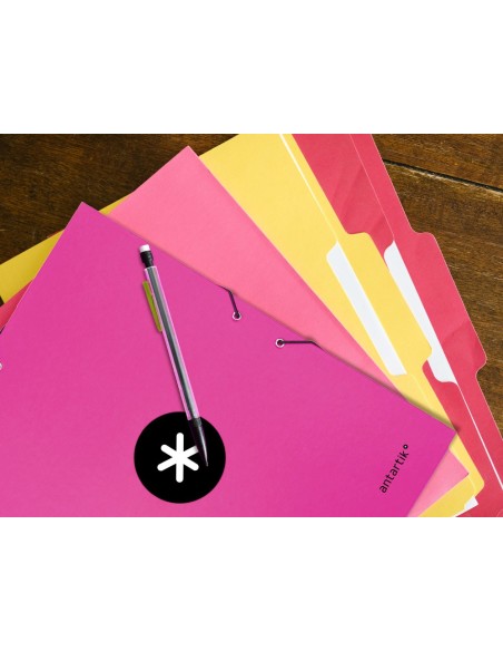 CARPETA GOMAS ANTARTIK FL CARTON FORRADO 3 SOLAPAS ROSA