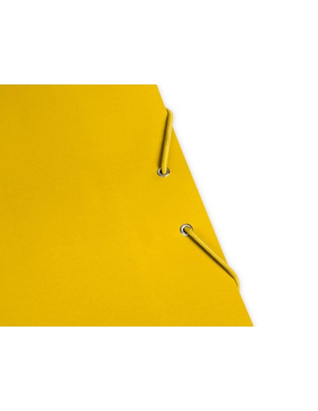 CARPETA  GOMAS FL. 3 SOLAPAS CARTON PLAST.AM.