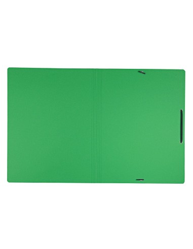 CARPETA LEITZ RECYCLE GOMAS A4 CARTON 100% VE.