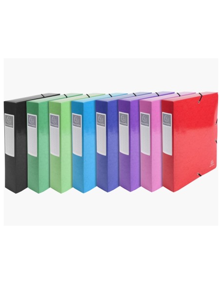 CARPETA PROYECTO EXACOMPTA CARTON LUSTRADO PLAST.A4 80MM SURT.