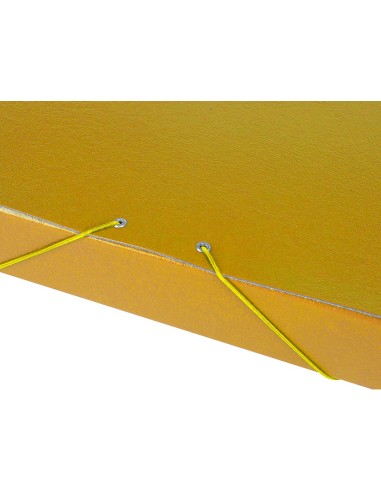 CARPETA PROYECTOS LOMO 5 CM AMARILLA CARTON