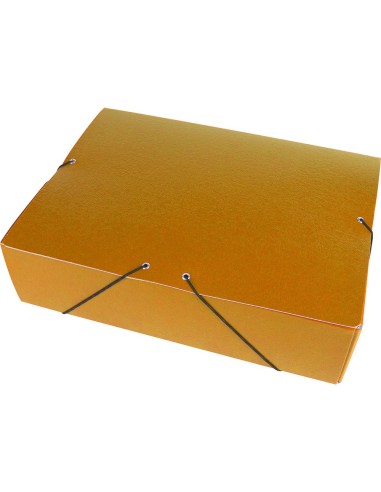 CARPETA PROYECTOS LOMO 7 CM VER CARTON