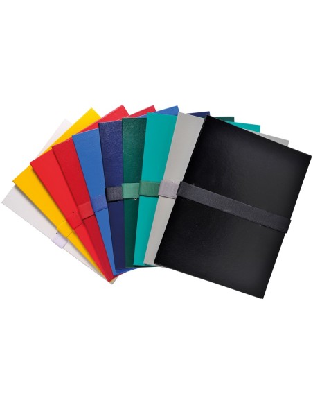 CARPETA PROYECTO EXACOMPTA DIN A4 L. 130MM EXT.TIRA VELCRO COL.SURT.