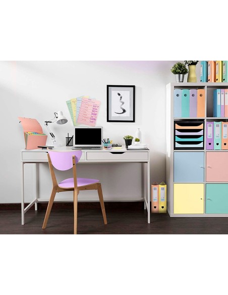 CARPETA PROYECTOS EXACOMPTA AQUAREL FORRADO A4 40MM PASTEL SURT.