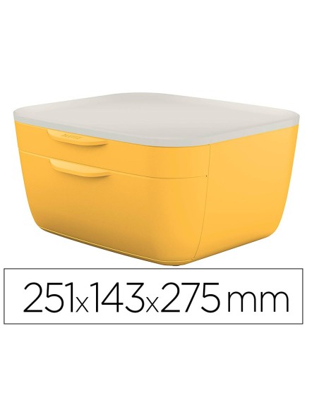 FICHERO CAJONES LEITZ COSY 2 CAJONES AM.