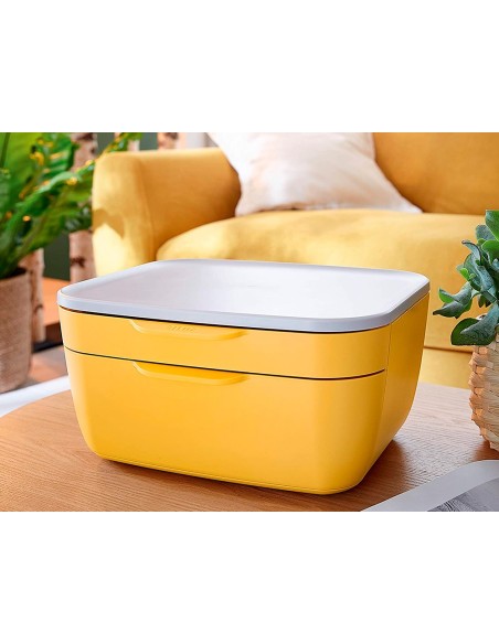 FICHERO CAJONES LEITZ COSY 2 CAJONES AM.