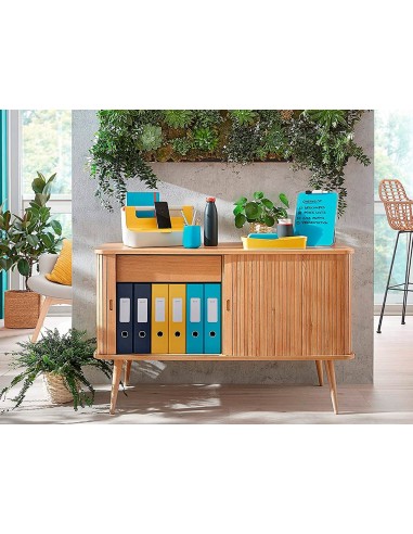 FICHERO CAJONES LEITZ COSY 2 CAJONES AM.