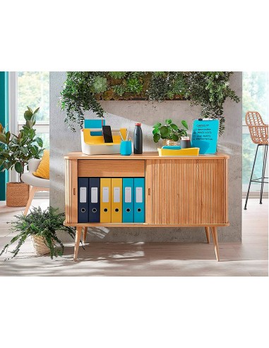 FICHERO CAJONES LEITZ COSY 2 CAJONES GRIS