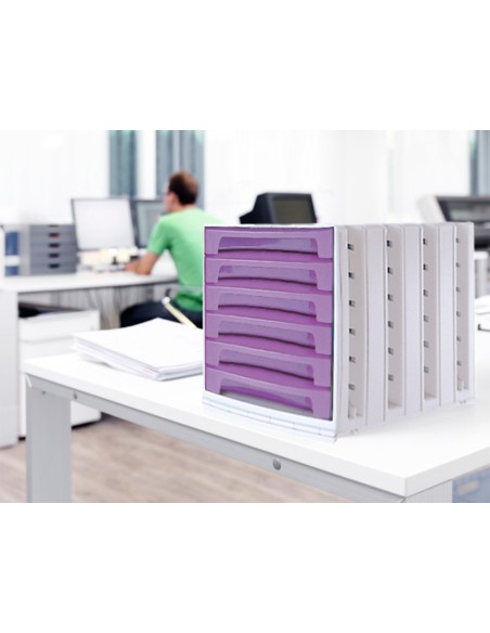 FICHERO CAJ. SOBREM.37X30,5X21,5 CM BANDEJA ORG.SUPERIOR 6 CAJ. VIOLE
