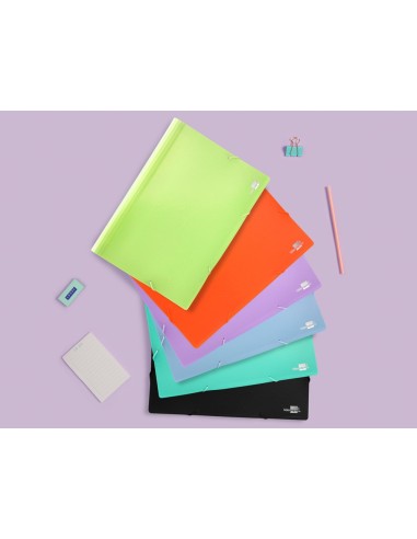 CARPETA CLASIFICADOR FUELLE PP. A4 NG. OPACO 13 DEPARTAMENTOS