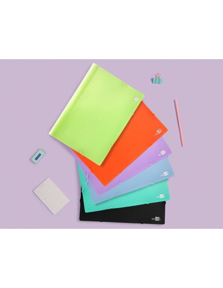 CARPETA CLASIFICADOR FUELLE PP. A4 NG. OPACO 13 DEPARTAMENTOS