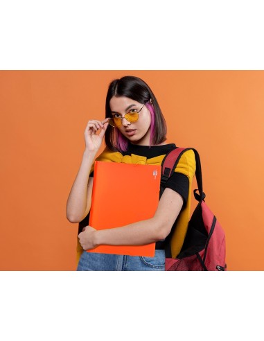 CARPETA CLASIFICADOR FUELLE PP. A4 NJ. FLUOR OPACO 13 DEPARTAMENTOS