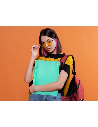 CARPETA CLASIFICADOR FUELLE PP. A4 VEREDE OPACO 13 DEPARTAMENTOS