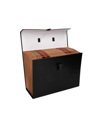 MALETIN C/FUELLE 316701 19 DEPARTAMENTOS TAMAÑO 25,5X390X120 MM