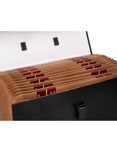 MALETIN C/FUELLE 316701 19 DEPARTAMENTOS TAMAÑO 25,5X390X120 MM