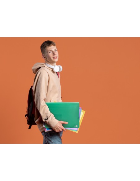 CARPETA BEAUT.CLASIF.FUELLE 32113 PP DIN A4 VER TPTE.-13 DEPARTAMENTO