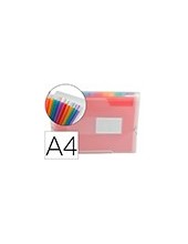 CARPETA BEAUT.CLASIF.FUELLE 42159 PP DIN A4 TTE 2 HUECOS TARJETAS SPE 2