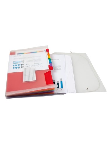 CARPETA BEAUT.CLASIF.FUELLE 42159 PP DIN A4 TTE 2 HUECOS TARJETAS SPE