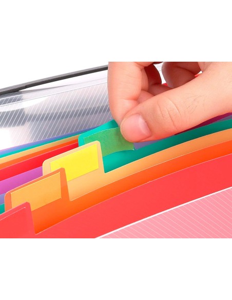 CARPETA BEAUT.CLASIF.FUELLE 45144 PP DIN A4 TPTE.-C/ASA SPECTRAFILE 1