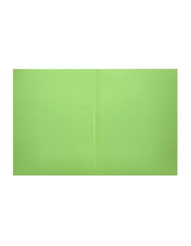 SUBCARPETA A4 180 GR. LIDERPAPEL VERDE INTENSO C/50