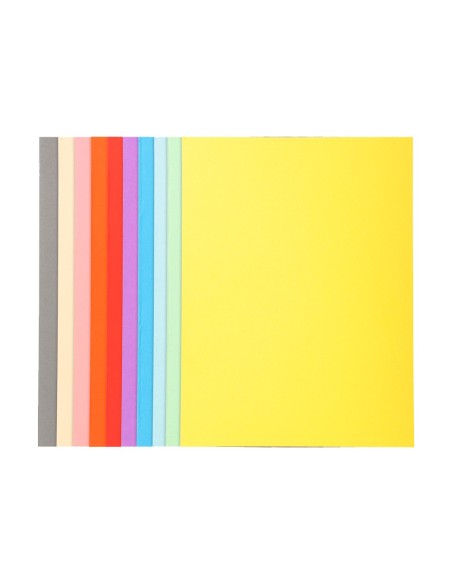 SUBCARPETA A4 170 GR. EXACOMPTA COLORES SURTIDOS C/100