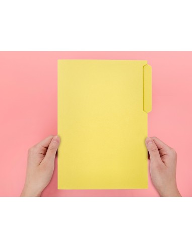 SUBCARPETA CARTULINA  FL. PESTAÑA SUPERIOR 240G/M2 AM.