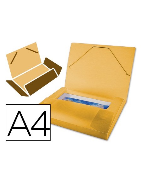 CARPETA BEAUT.PORTADOC.36851 PP DIN A4 NARANJA SERIE FROSTY LOMO 25 M