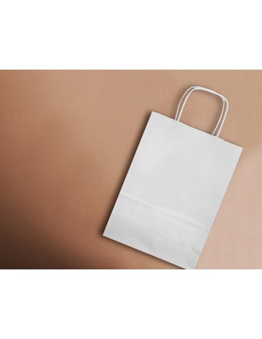 BOLSA PAPEL Q-CON.CELULOSA BL.M ASA RETORCIDA 270X370X12MM