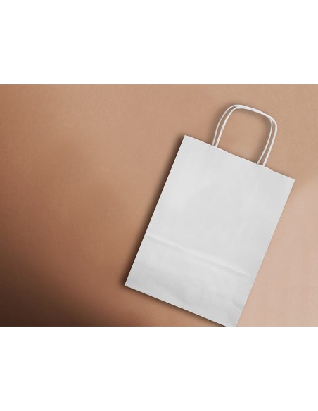 BOLSA PAPEL Q-CON.CELULOSA BL.S ASA RETORCIDA 240X320X10MM