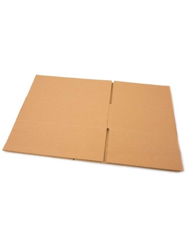 CAJA EMBALAR MARRON DOBLE CANAL 304X150X217MM