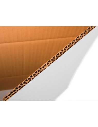 CAJA EMBALAR BLANCA DOBLE CANAL 450X280MM REGULABLE ALTURA