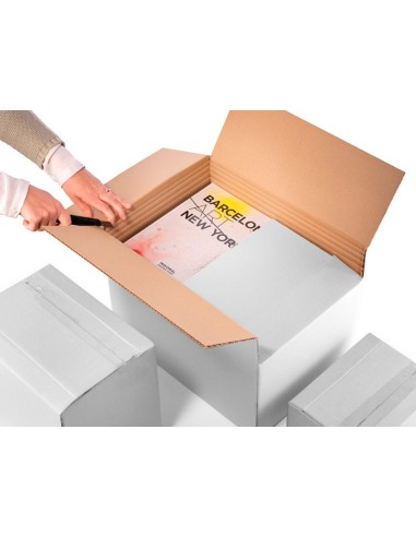 CAJA EMBALAR BLANCA DOBLE CANAL 450X280MM REGULABLE ALTURA