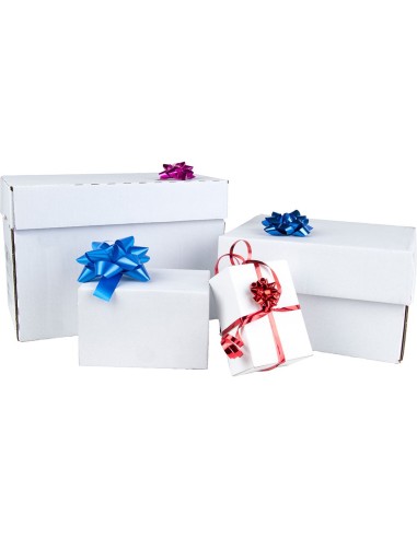 LAZOS LIDERPAPEL FANTASIA MAXI COLORES METALIZADOS SURTIDOS