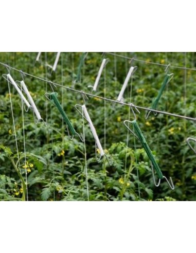 CUERDA RAFIA ROLLO 600 METROS